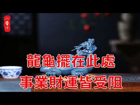 龍龜擺放臥室|龍龜可放房間嗎？風水大師公開擺放技巧，教你消災擋煞招好運！